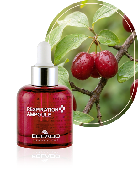 Respiration Ampoule * For Normal and Sensitive Skin Types